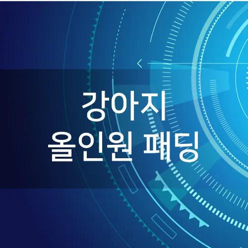 강아지 올인원 패딩
