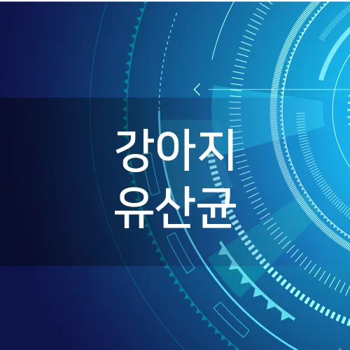 강아지 유산균