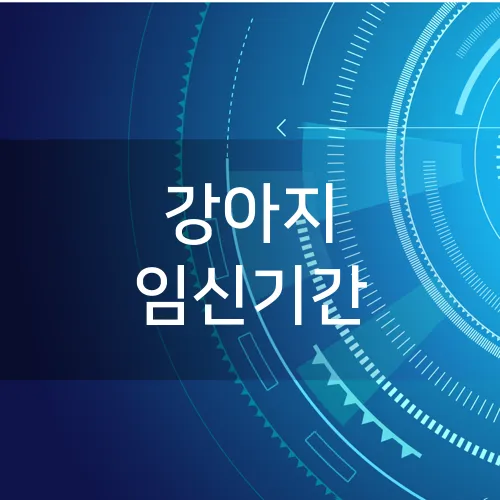 강아지 임신기간