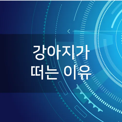 강아지가 떠는 이유