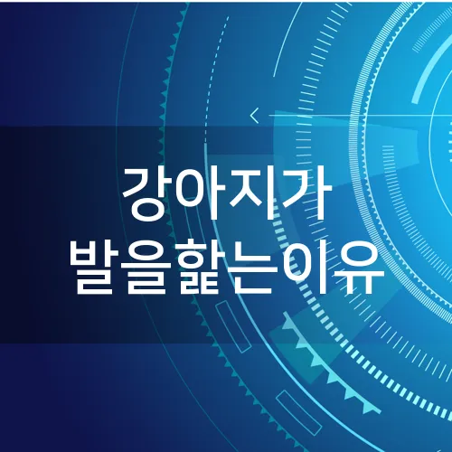 강아지가 발을핥는이유