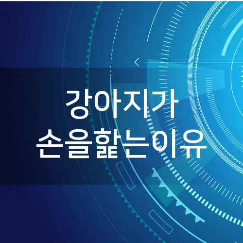 강아지가 손을핥는이유