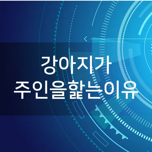 강아지가 주인을핥는이유