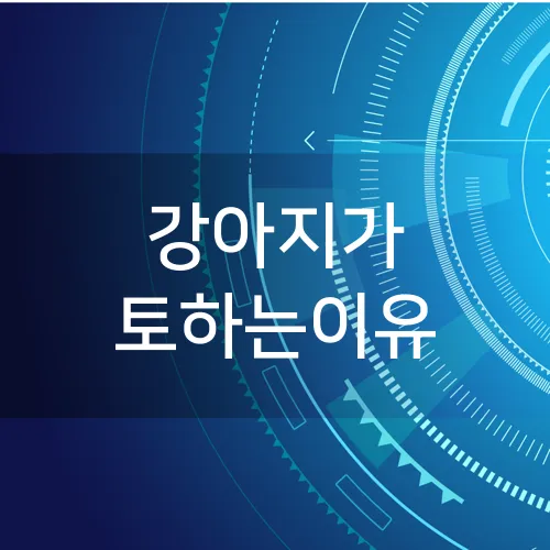 강아지가 토하는이유