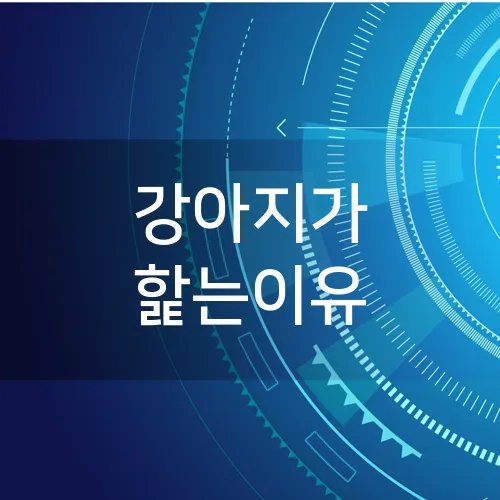강아지가 핥는이유