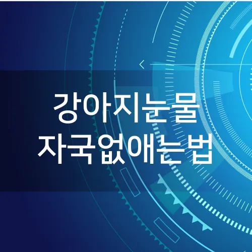 강아지눈물 자국없애는법