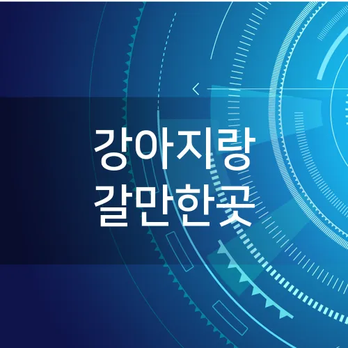 강아지랑 갈만한곳