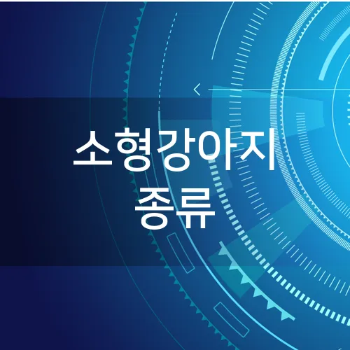 소형강아지 종류