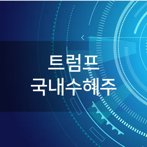 트럼프 국내수혜주