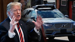 트럼프와 전기차