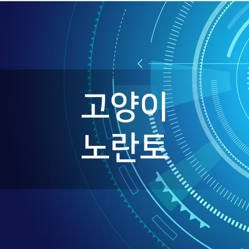 고양이 노란토