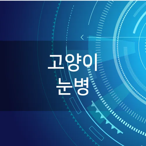 고양이 눈병