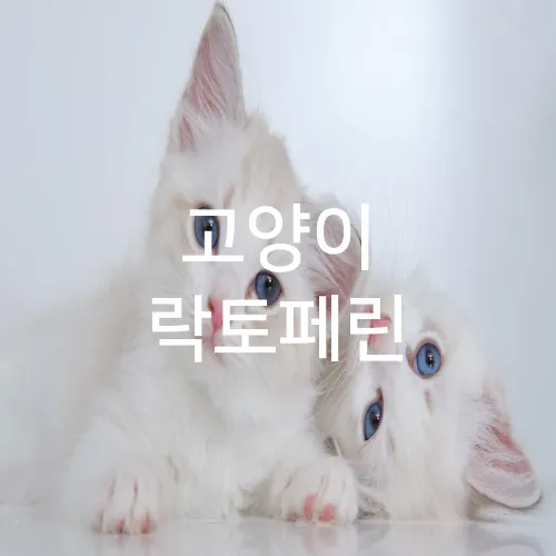 고양이 락토페린