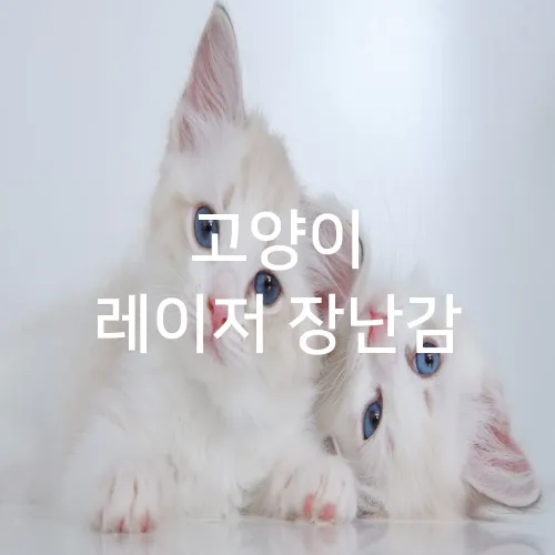 고양이 레이저 장난감