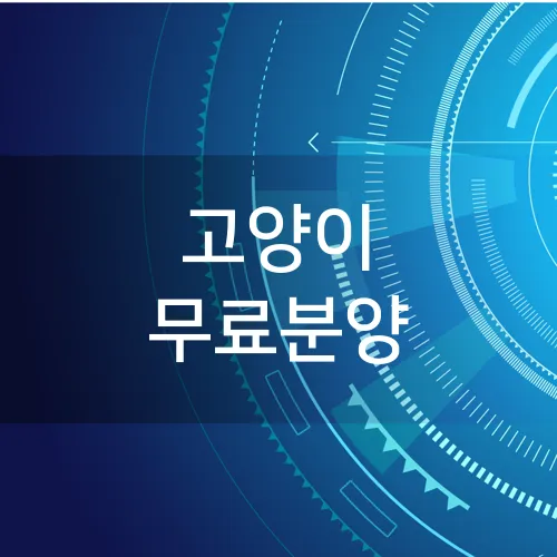 고양이 무료분양