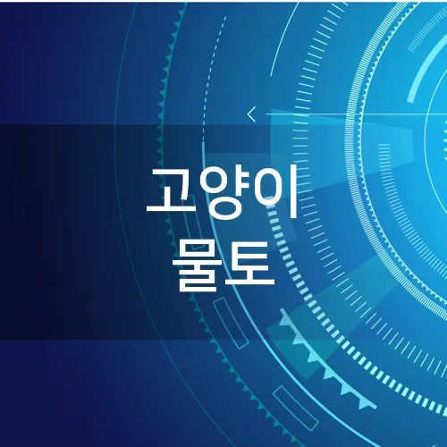 고양이 물토