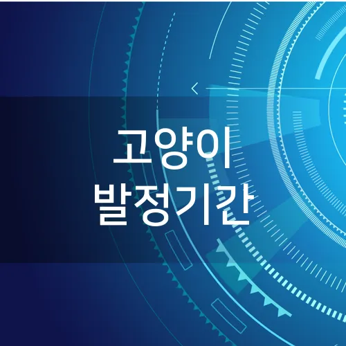 고양이 발정기간