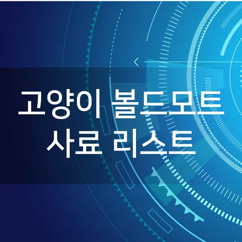 고양이 볼드모트 사료 리스트