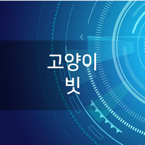 고양이 빗