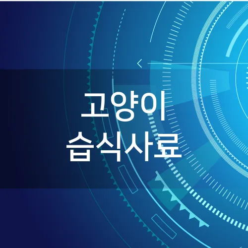 고양이 습식사료