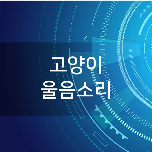 고양이 울음소리