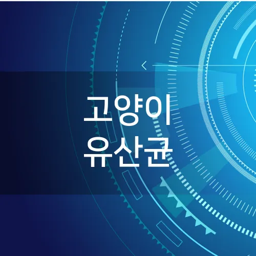 고양이 유산균