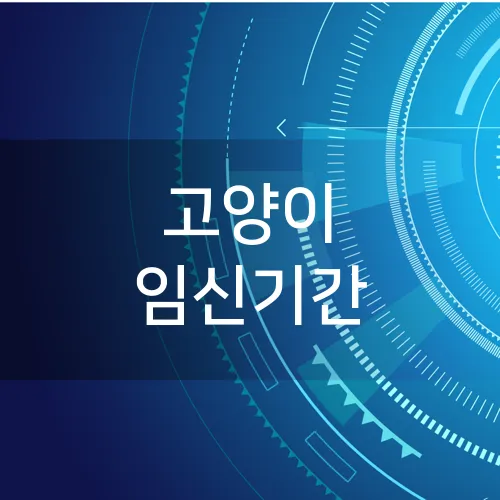 고양이 임신기간