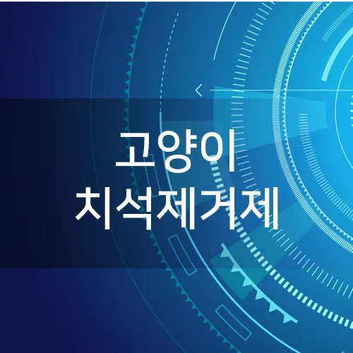 고양이 치석제거제