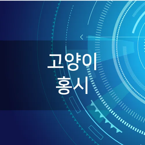 고양이 홍시