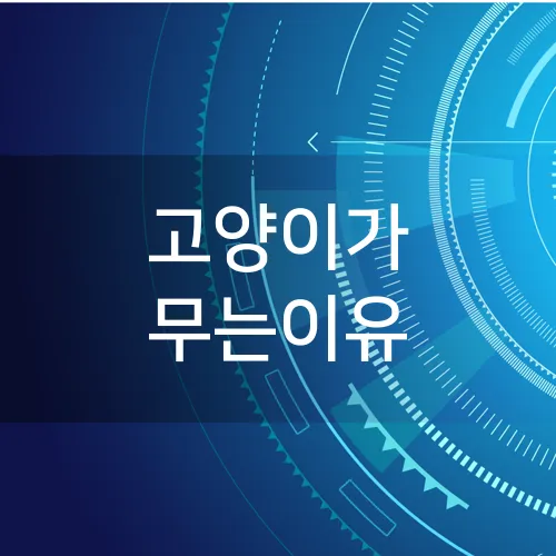 고양이가 무는이유