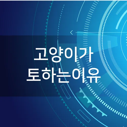 고양이가 토하는이유