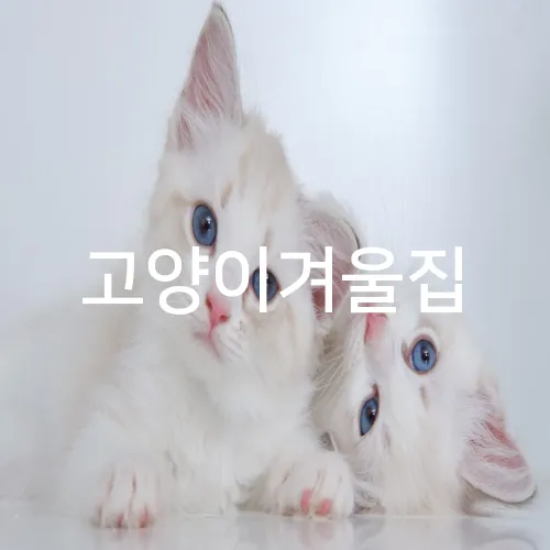 고양이겨울집
