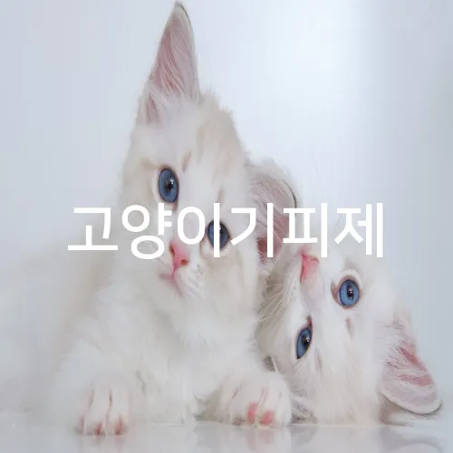 고양이기피제