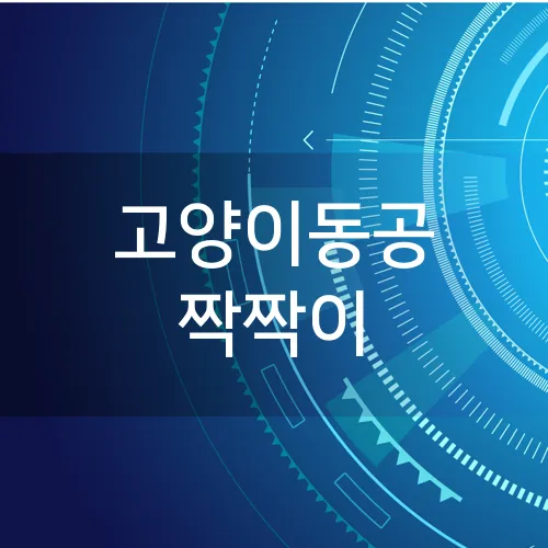 고양이동공 짝짝이