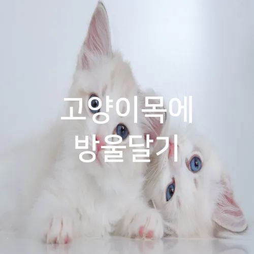 고양이목에 방울달기