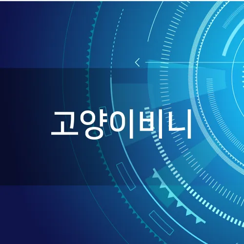 고양이비니