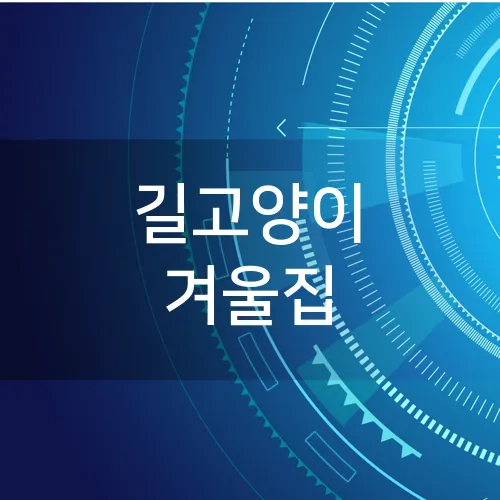 길고양이 겨울집