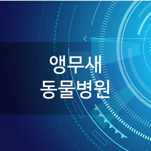 앵무새 동물병원