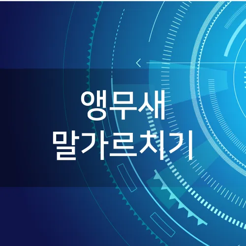 앵무새 말가르치기