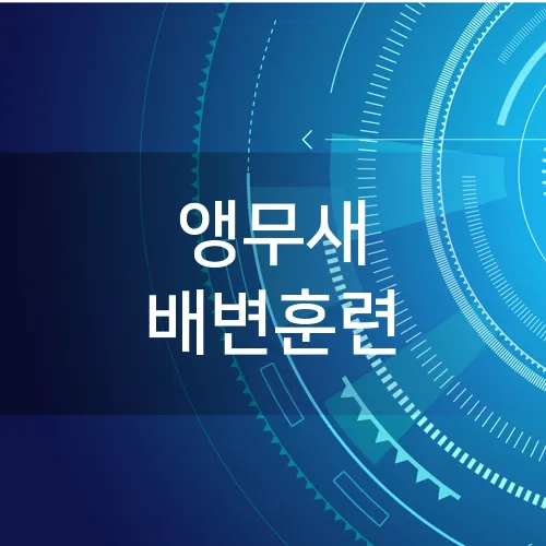 앵무새 배변훈련