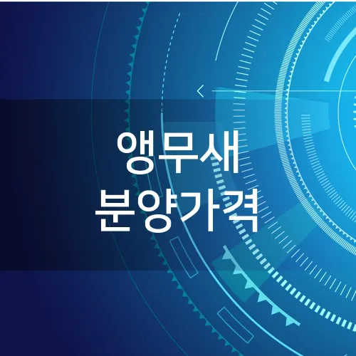 앵무새 분양가격