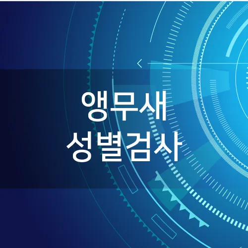 앵무새 성별검사