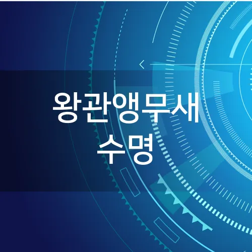 왕관앵무새 수명