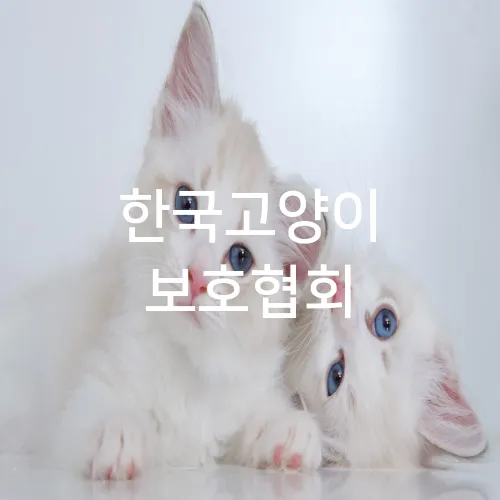 한국고양이 보호협회