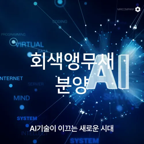 회색앵무새 분양