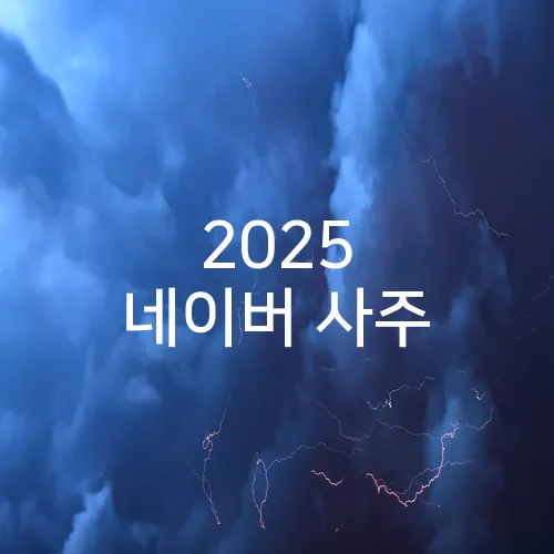 2025 네이버 사주