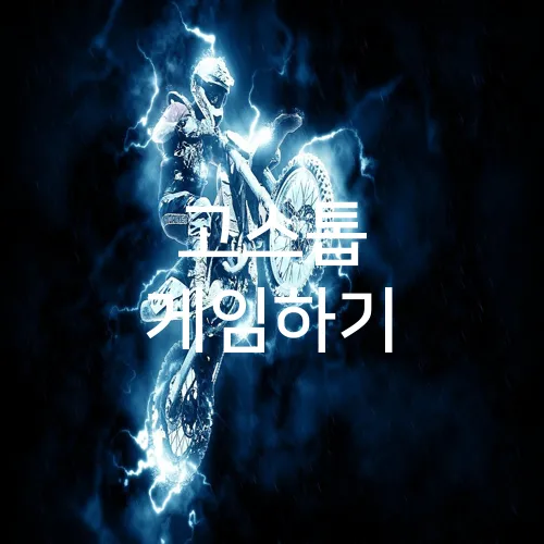 고스톱 게임하기