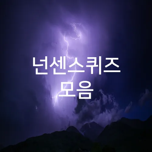 넌센스퀴즈 모음