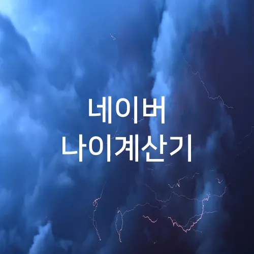 네이버 나이계산기