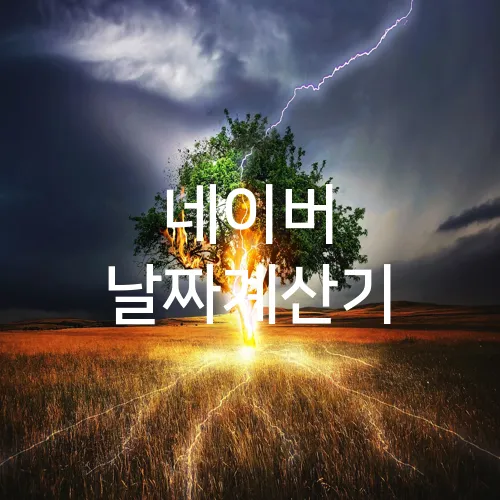 네이버 날짜계산기